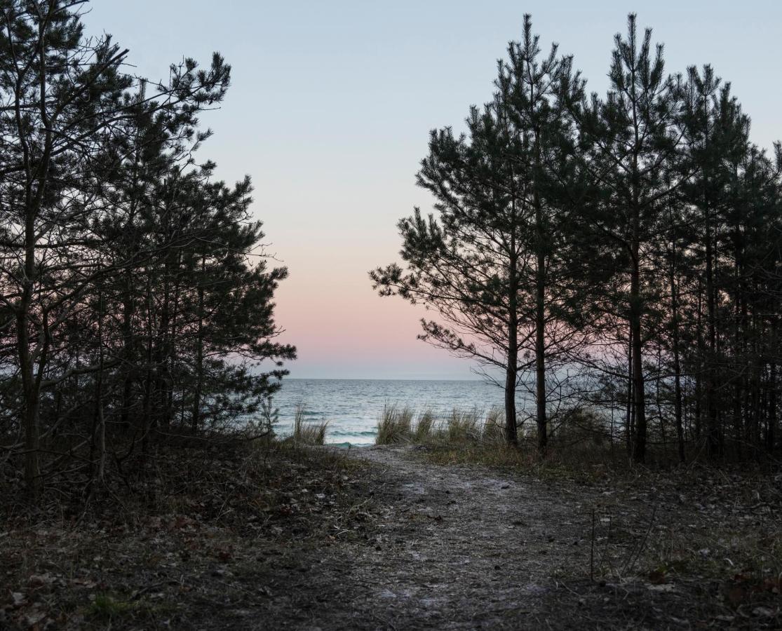 Safari Lodge Prora - Mit Sauna Und Direktem Strandzugang بينز المظهر الخارجي الصورة